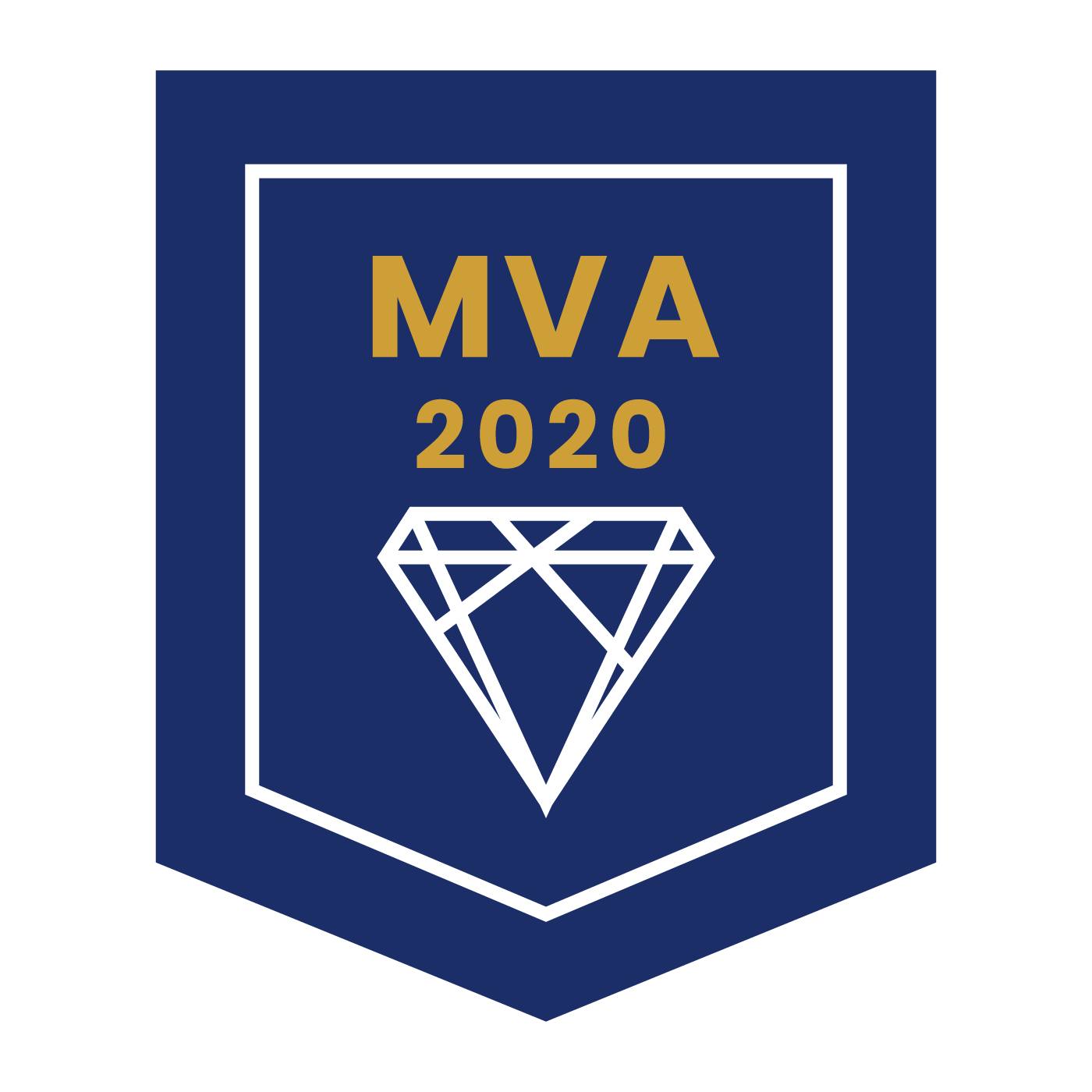 2020 年度 MVA