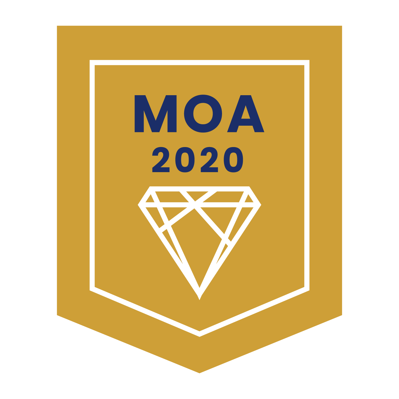 2020 年度 MOA
