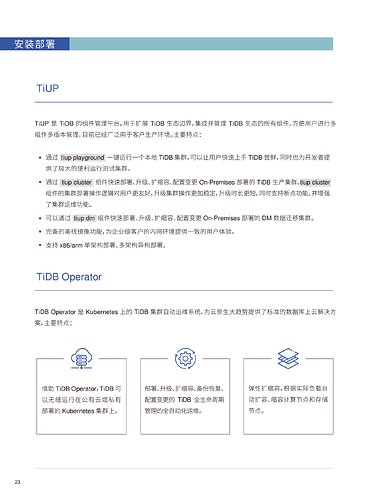 TiDB产品与解决方案2023 (1)-26