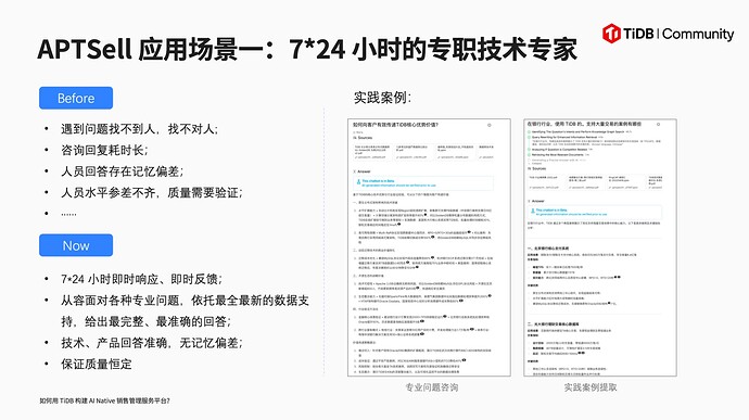 APTSell 应用场景一：7*24 小时的专职技术专家