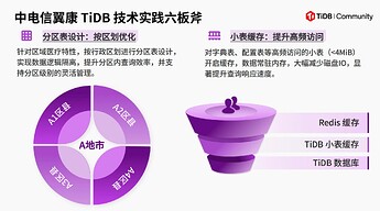 中电信翼康：中电信翼康 TiDB 技术实践六板斧