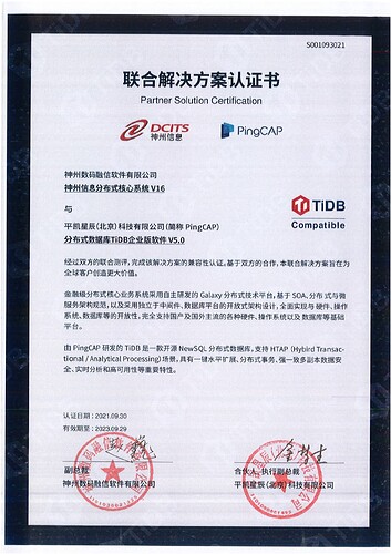 17. 联合解决方案-神州数码融信软件有限公司