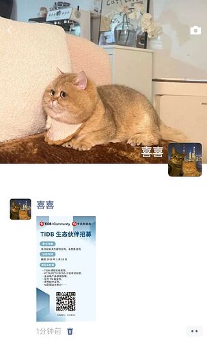 0e828a325e7c1796941eeb6e547edcb