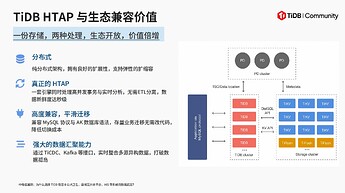 中电信翼康：TiDB HTAP 与生态兼容价值
