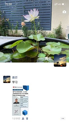 20251031113133_13_309